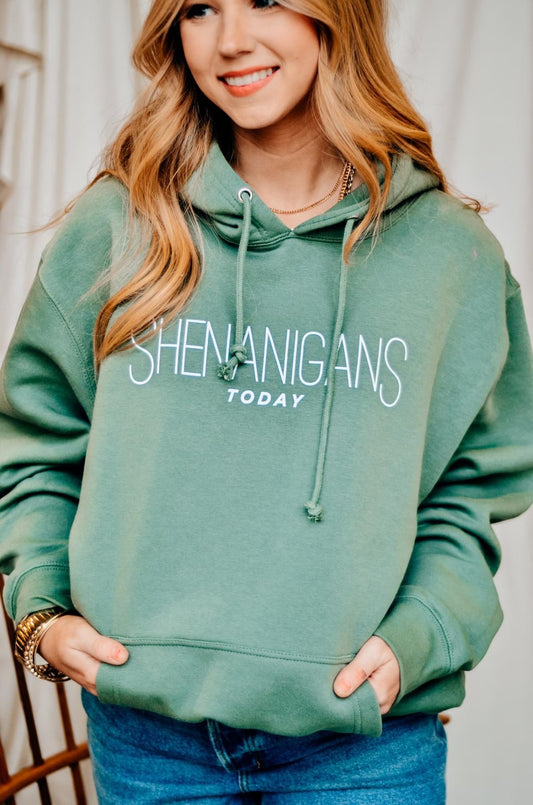 Shenanigans Today, Hung Over Tomorrow Hoodie